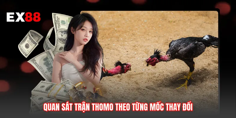Quan sát trận Thomo theo từng mốc thay đổi